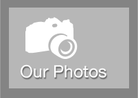 our-photos.png